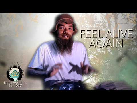 Noticing What Makes You Feel Alive | Music Meditation | Ep. 1087