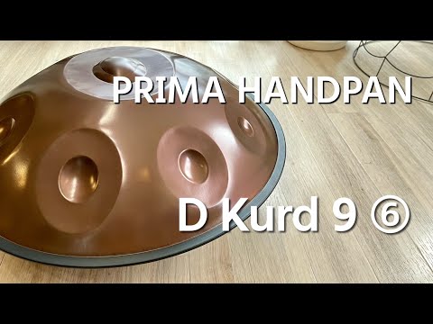 【ハンドパン販売】PRIMA HANDPAN / D kurd ⑥ 試奏2