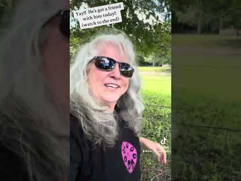 🫏💕 Yay!!!!  I’m sooooo happy he’s no longer alone!!!!   💕 🎶🛸