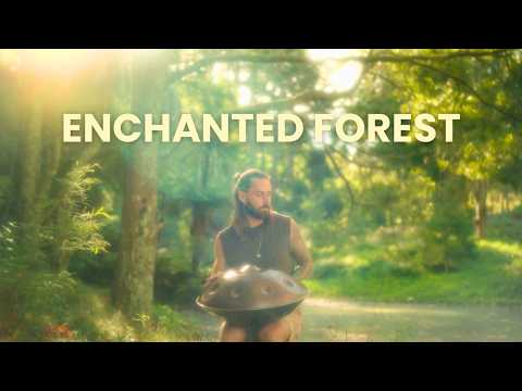 Enchanted Forest (432 Hz) | 1 Hour Handpan Meditation | Taylor Sol