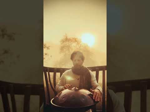 The chirping birds | Alwin Steinle | Handpan #handpan #handpanmusic #music #intuition #peace