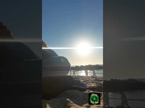 Entheogenic Eddie - Handpan on Venice Beach