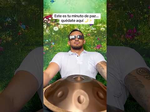Cada sonido es una vibración que sana. ✨ #viral #handpan #healingmusic #calma #Shorts