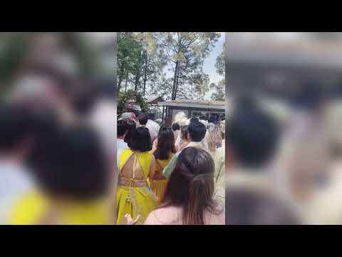 Wedding Handpan solo