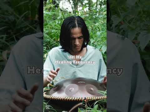 Nature force | handpan music @Handpanion