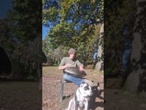 Pan in the Park - Handpan