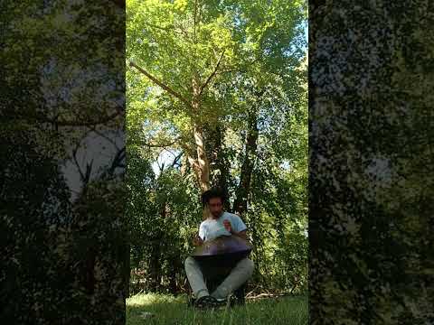 Handpan session  - Odin's Formula