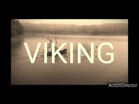 Marjorie Courtiau - HANDPAN Musique Zen / VIKING