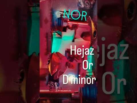 Hejaz or d minor ?🤔#هنگدرام #hangdrum #handpan