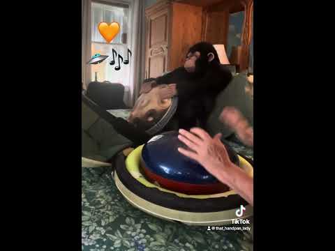 🛸🎶 That Handpan Lady …playing her Woody by Kosmosky!! 💕 🎶🛸