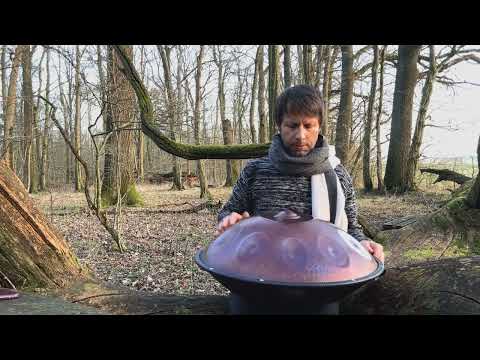 The end of winter | Alwin Steinle | Soulshine Sounds Handpan