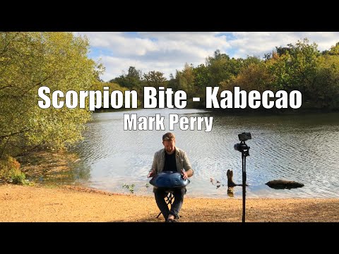 Scorpion Bite | Kabecao | D Hijaz Handpan