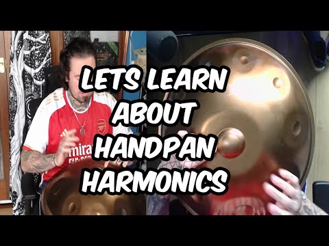 Learn About Handpan Harmonics 🎵 lesson 4 🎵