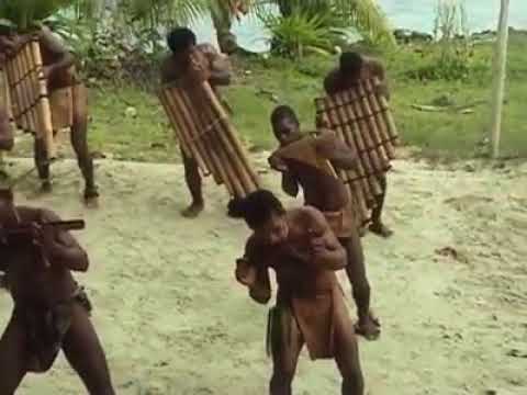 Bamboo percussions | djoliba music store