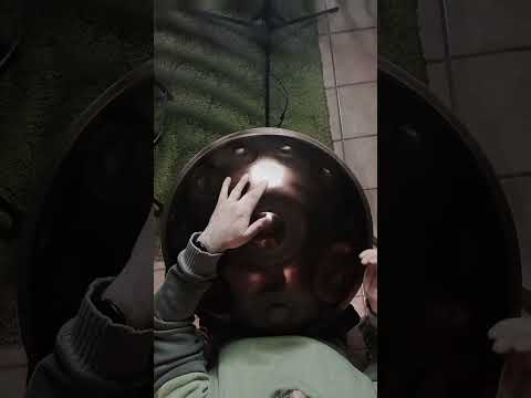 Dancing Mind - D Kurd by @soundsculpture-handpanshop698 #handpanmusic #handpan #handpanmusician