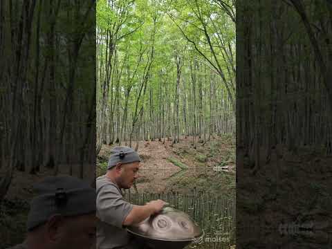 十日町 美人林 ハンドパン Handpan Amara