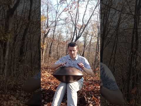 Joyful handpan melody and autumn colors 🛸🍁☺️ Played on F# Low Pygmy 18 #handpan #handpanmusic
