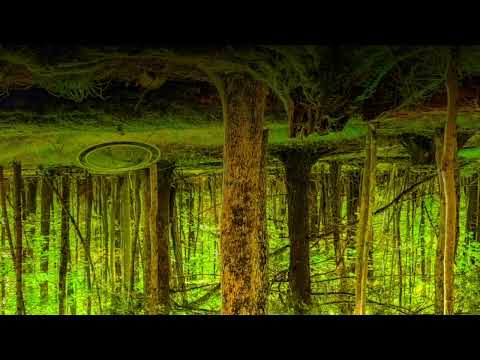 Low Frequency F (432Hz) 1-Hour BACKGROUND DEEP BASS Sounds for MEDITATION| DEEP FOCUS | DEEP SLEEP
