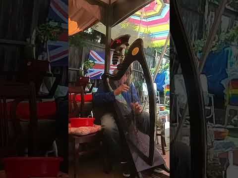 Handpan (Stephanie Law), Fiddle (Belinda salvidge), & Harp (Hank Hogan)