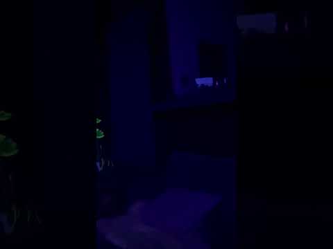 Danza de los Elementos: Sonajas y Tambor (Parte 2)