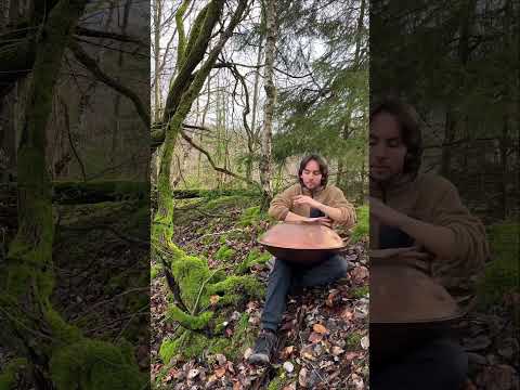 F2 Low Pygmy #handpan