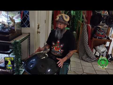 Handpan w/ Zaara the Super Dwarf Retic Python