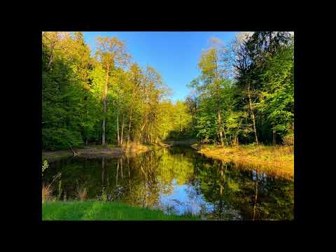 Medytacja "Wdzięczności" - 432 Hz - Prowadzona - Handpan F Low Pygmy i flet indiański
