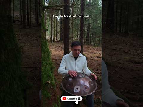 Forest Bathing Handpan Groove | Relaxing Nature Rhythm #handpan #meditation #ambient #chill