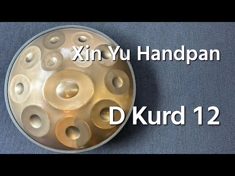 【ハンドパン販売】Xin Yu Handpan / D Kurd 12 試奏1
