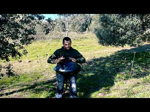 Dark Red Butterfly | @DavidKuckhermann | Handpan D Hijaz | Cover by Samu J. Handpan
