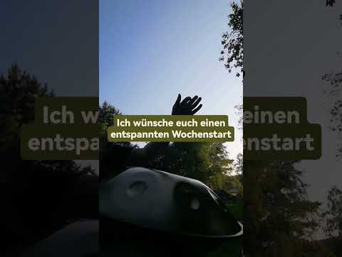 Handpan - kurze Entspannung auf der Meinl Sonic Energy D-Kurd