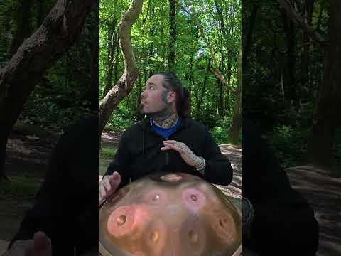 when you just play and the animals and birds come around you #handpan #woods #birds #forest