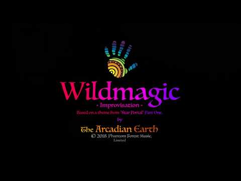 "Wildmagic" - The Arcadian Earth - Meridian Pygmy handpan + M3 Shruti Box
