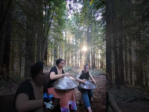 golden hour, Delving into forest mystery. handpan improv session