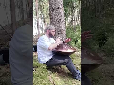Into da woods... D Kurd 12 @soundsculpture-handpanshop698           #handpanmusician #handpan