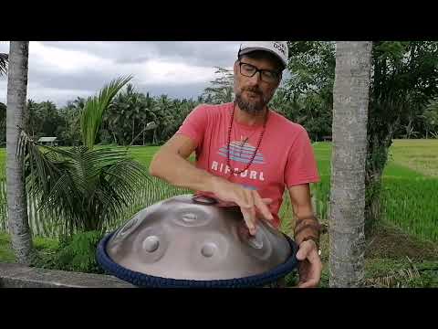 Autumn Leaves, Handpan cover