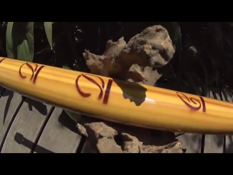 SLIDE DIDGERIDOO - DIDGERIBONE PVC –  Eucalyptus Wood – F, F#, E, D#, D, C#, C, B