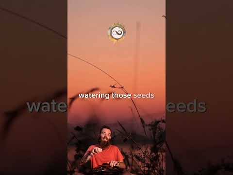 #Water the #Seeds of your #Potential