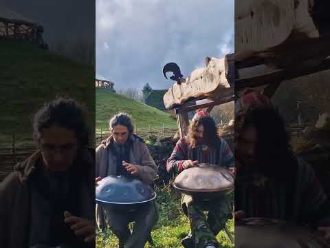 This part was my favourite | Acero D Celtic | Handpan Music