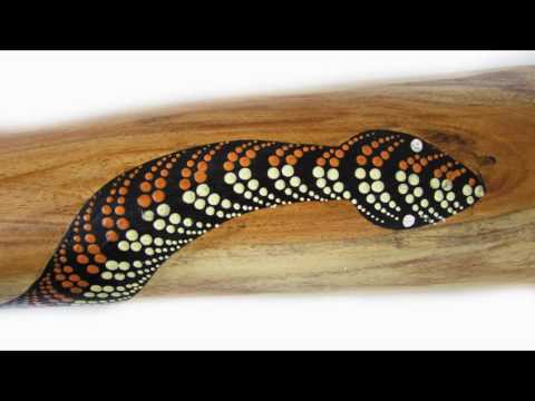 didgeridoo store