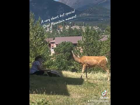 🛸🎶 🦌 A special moment at the 2024 @steelmountainhandpangather8754 , Estes Park, CO  🦌🎶🛸