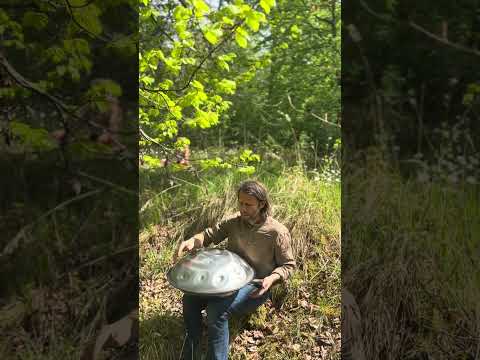 Surrounded by ether | Alwin Steinle | Handpan La Sirena #handpan #handpanmusic #music #flow #forest
