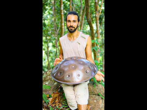 Come Fly With Me #handpan #meditationmusic #soundhealing