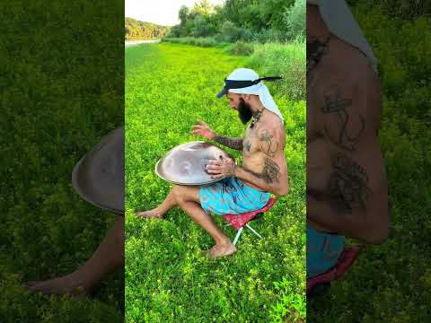Flavio Salvaje - Fields