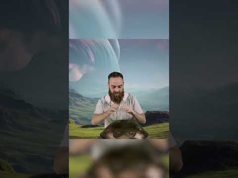 Lightning Turns a Deer Into Music ⚡🦌