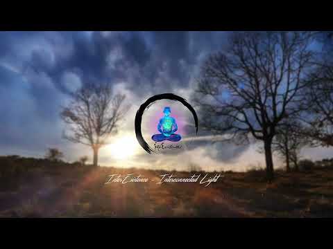 InterExistence – Interconnected Light [Official Video] – Album Part 1 "Wake Up" – Track 9