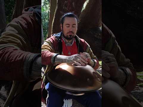 handpan with birds singing sounds amazing #handpan #handpanlove #handpanmusic #birds #relaxing