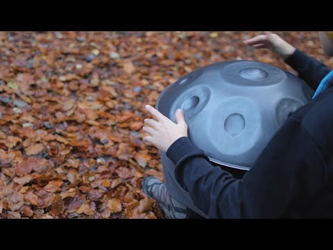 AUTUMN DREAMS | Violin & Handpan | Ivo & Pavel Sedlacek [4K]