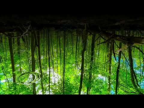 Low Frequency D# (432Hz) 1-Hour BACKGROUND DEEP BASS Sounds for MEDITATION| DEEP FOCUS | DEEP SLEEP