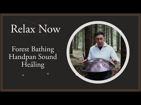 Forest Bathing Handpan Meditation | Deep Calm & Stillness (Shinrin Yoku) | Savalan Suleymanli